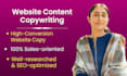 do professional SEO copywriting for the entire website content