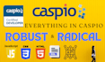 develop and customize caspio application, certified caspio developer