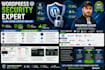 do wordpress website maintenance and cyber security
