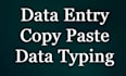do accurate data entry and copy paste tasks
