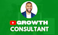 be your youtube channel growth consultant