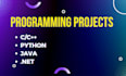 do computer programming assignments and projects