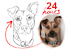draw a minimalist pet remembrance line art from photo