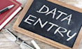 do website development, data entry, online teaching