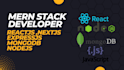 build websites using reactjs,nodejs and mern stack