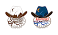 design a customized typography vector logo