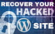 clean your hacked wordpress site