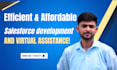 be your certified salesforce developer or virtual assistant