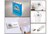 create a professional mock up of anything