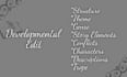 developmentally edit your fiction book