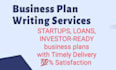 prepare business plan for investment, startups