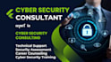 do expert cyber security analyst and consulting services