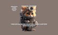 give you the prompt to generate ai art with the images