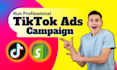 setup tik tok ads campaign, manage tik tok advertising