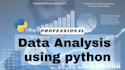 do data analysis and data visualization using python
