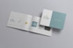 design a professional brand guideline for your business