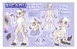 make your own furry or character reference sheet