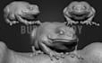 be creating 3d sculpt models and characters for 3d printing