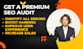 do complete website audit