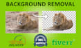 enhance your images bulk background removal, crop and resize