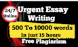 do urgent essay writing,research and summary reports