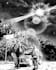 create detailed blacknwhite illustration fantasy, scifi, dark fantasy, comics