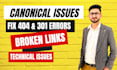 fix 404, 301, broken links, indexing and canonical issues