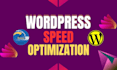 do wordpress SEO on speed optimization in pagespeed and gtmatrix