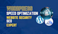 do speed optimization and website security