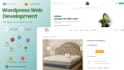 create or customize your professional wordpress website