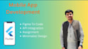 fix bugs and optimize your app for ios and android