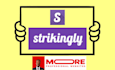 design a professional website on strikingly