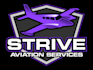 design a super high quality plane, aviation logo