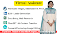 be your business VA for data entry and web research