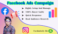 setup and run facebook ads campaign, fb advertising perfectly