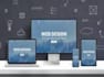 give professional web services ,custom web development