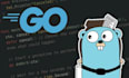 build high performance golang microservices or apis