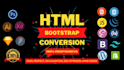 add custom html, css and js code to your website