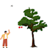 create 2d animation videos