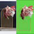 remove background from video