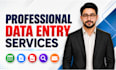 do data entry in low price