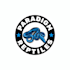 do fantastically structured paradigm reptiles logo