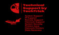provide expert IT support and networking solutions