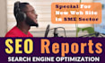 provide SEO reports to optimization website online presence