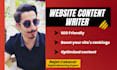 write SEO optimized website copywriting content writer
