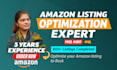 do amazon listing optimization with fba listing audit, amazon listing SEO