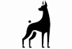 design super pet store logo with satisfaction guaranteed