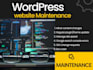 maintain and update your wordpress website