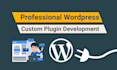 create custom wordpress plugin for you