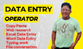 do professional data entry, copy paste, typing job